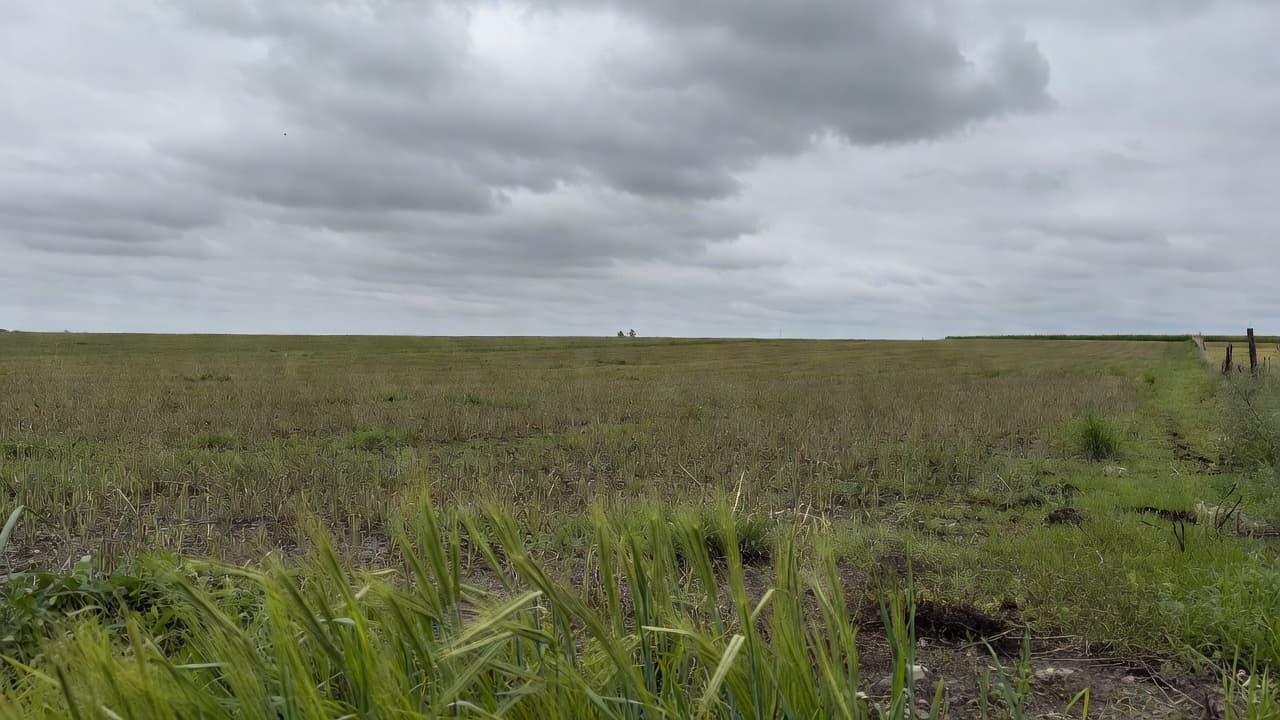 Polska i Francja razem przeciw Mercosur