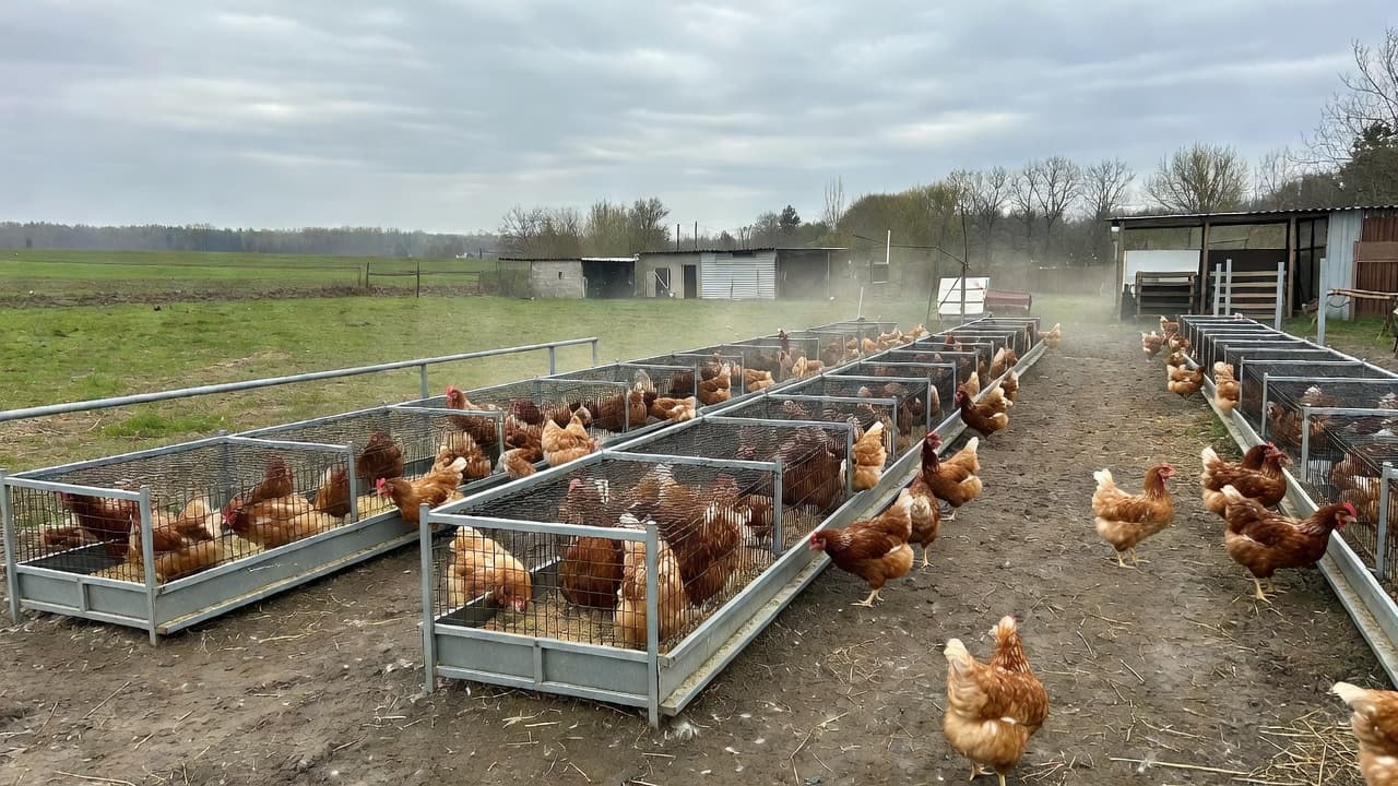 Polska na AGRIFISH: chów klatkowy i białko pod lupą